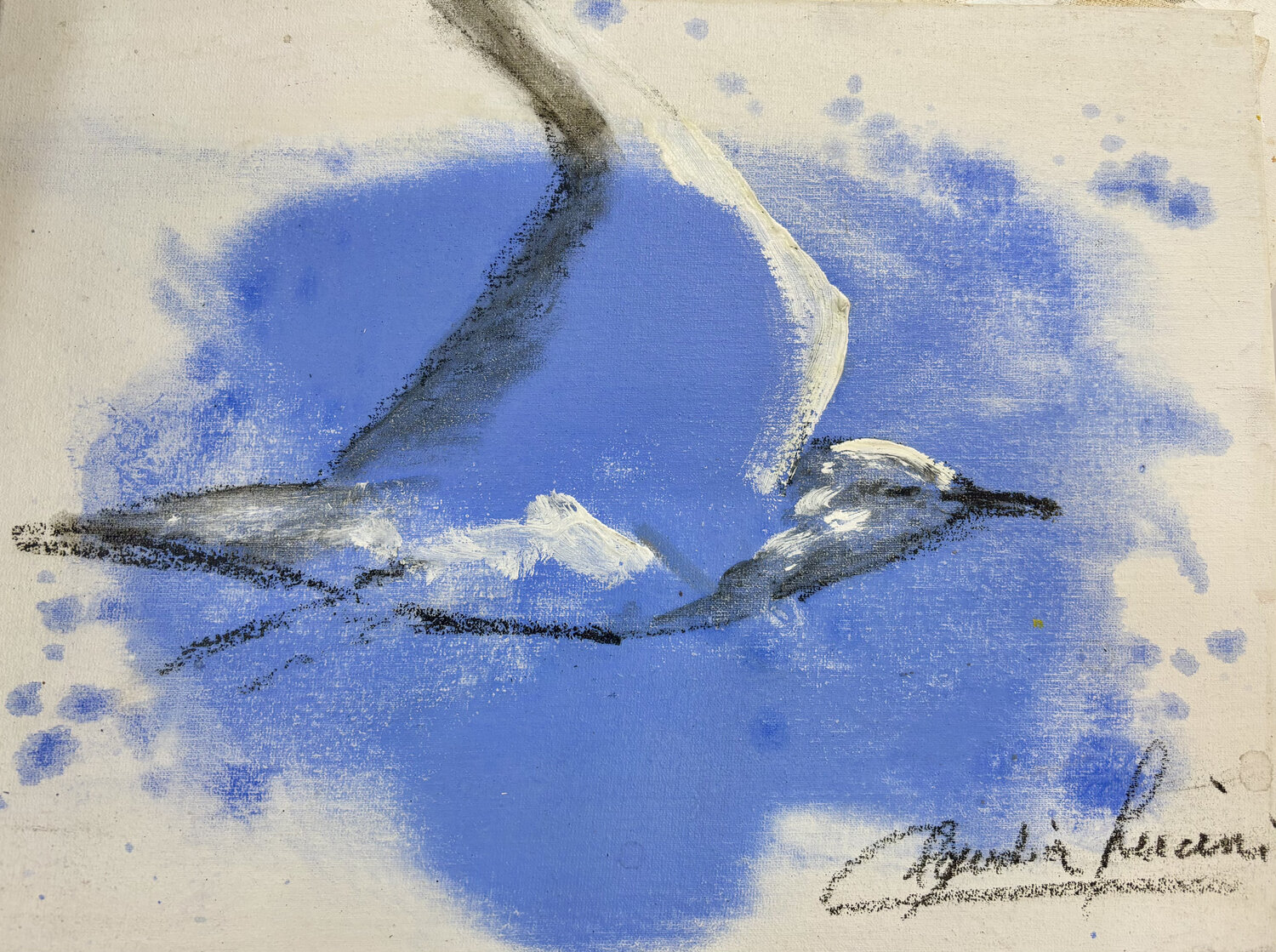 VOLAR... Claudia Lucini