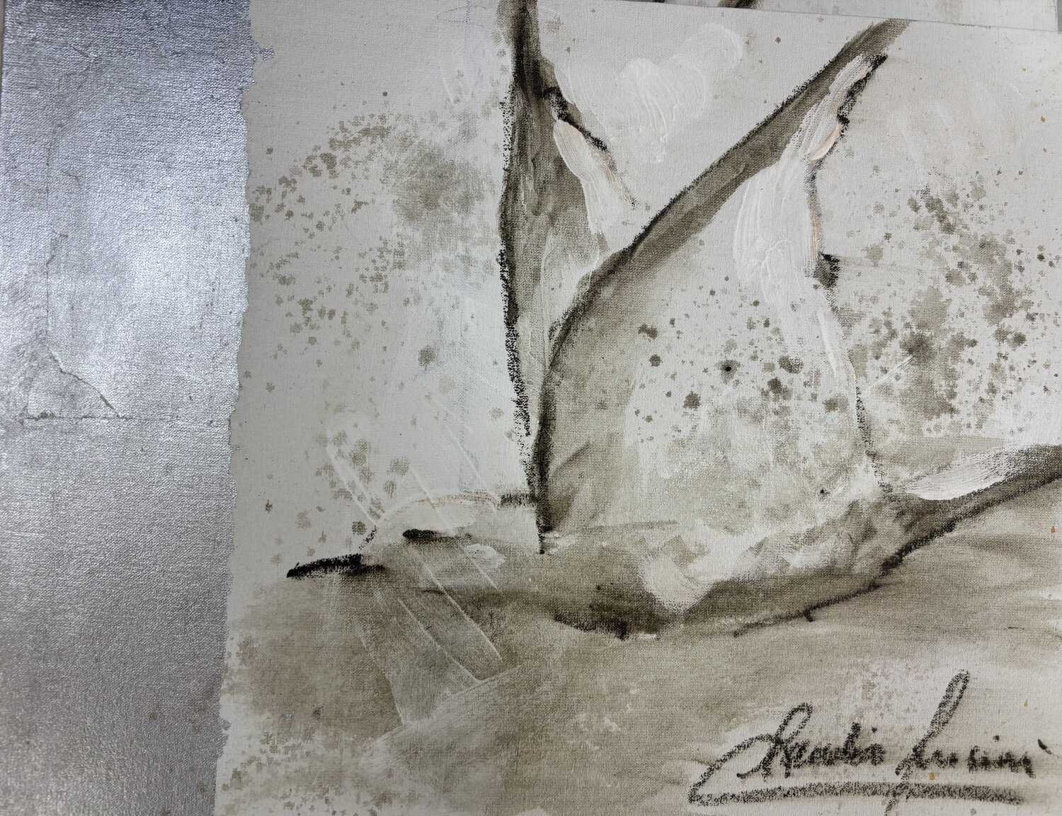 VOLAR... Claudia Lucini