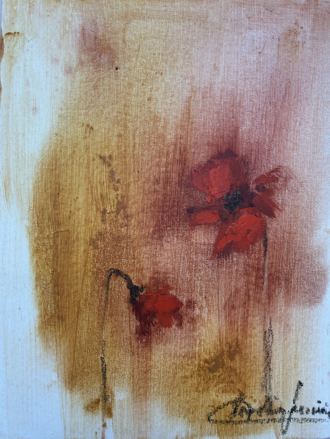 Amapolas Rojas Claudia Lucini