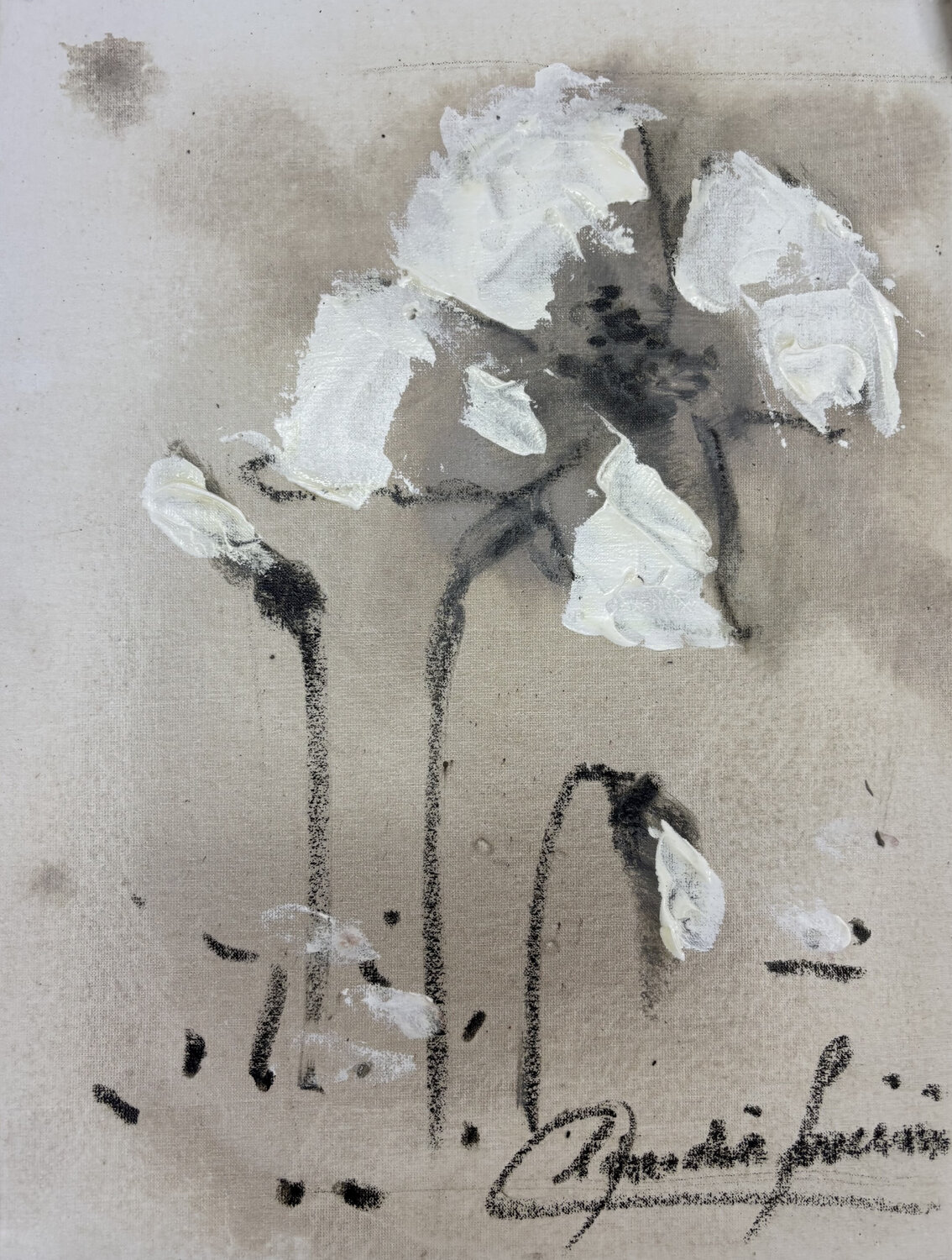 Azucenas Blancas Claudia Lucini