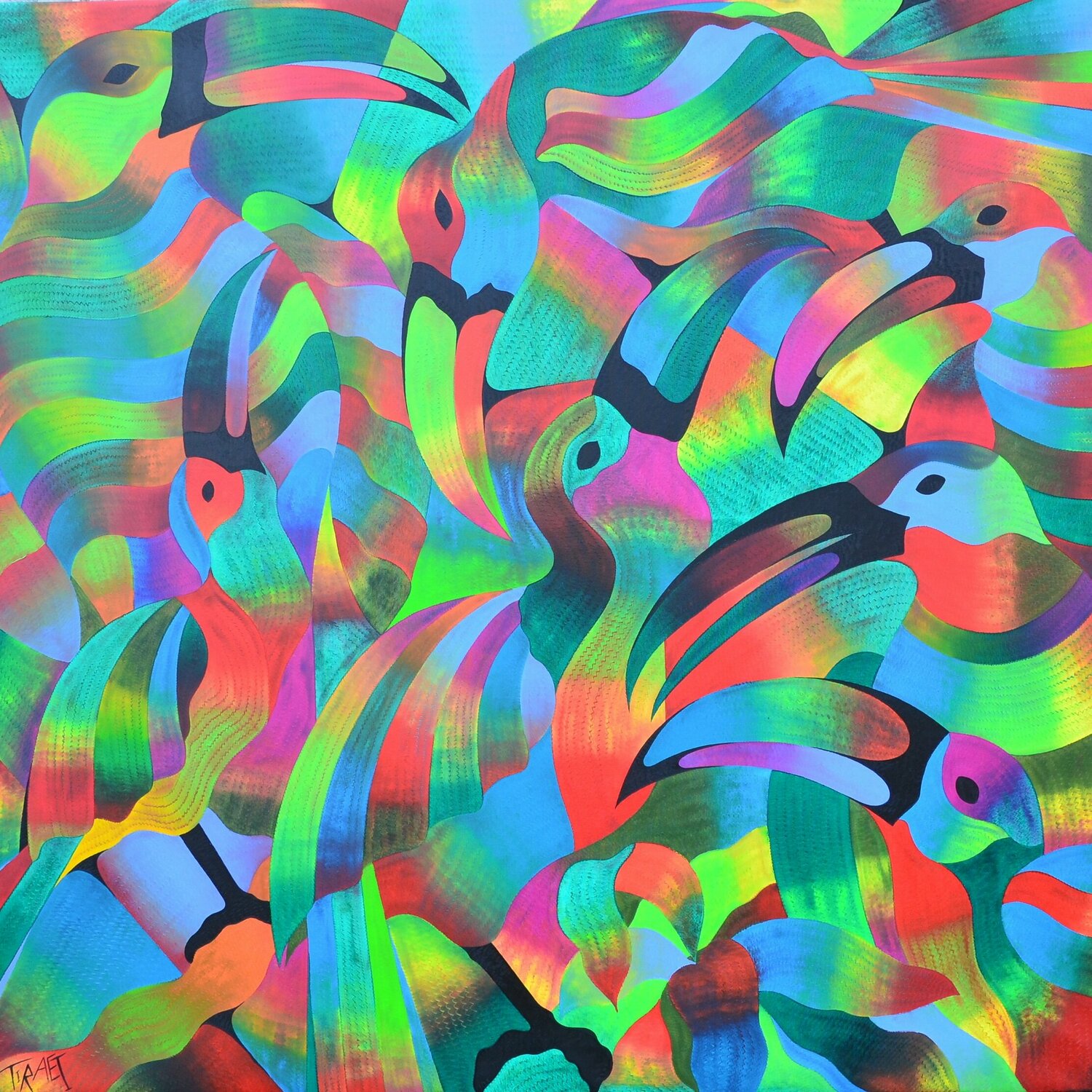 Bunte Tokanen Said Tiraei