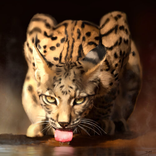 Le lynx Ibérique par Eric Bruni, Digital en vente sur Singulart