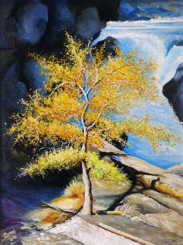 L'arbre au bord de la Méouge (Gorges de la Méouge) di Eric Bruni, Pittura in vendita su Singulart