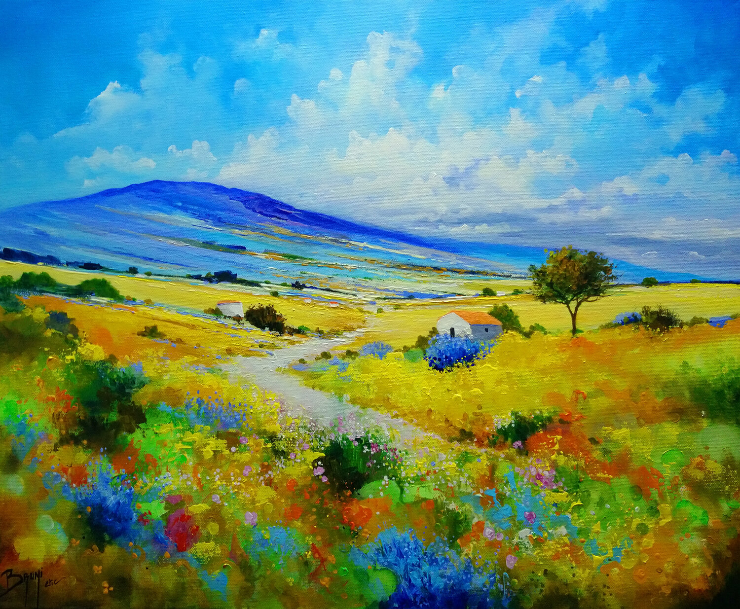 Vue sereine Eric Bruni