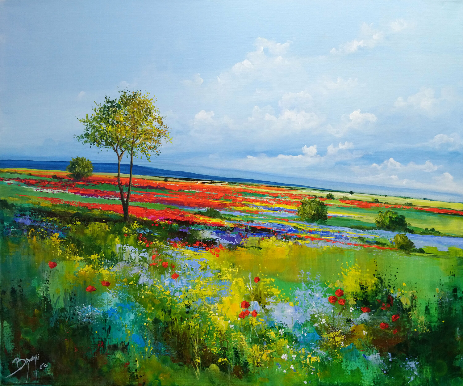 Plaine en fleurs Eric Bruni