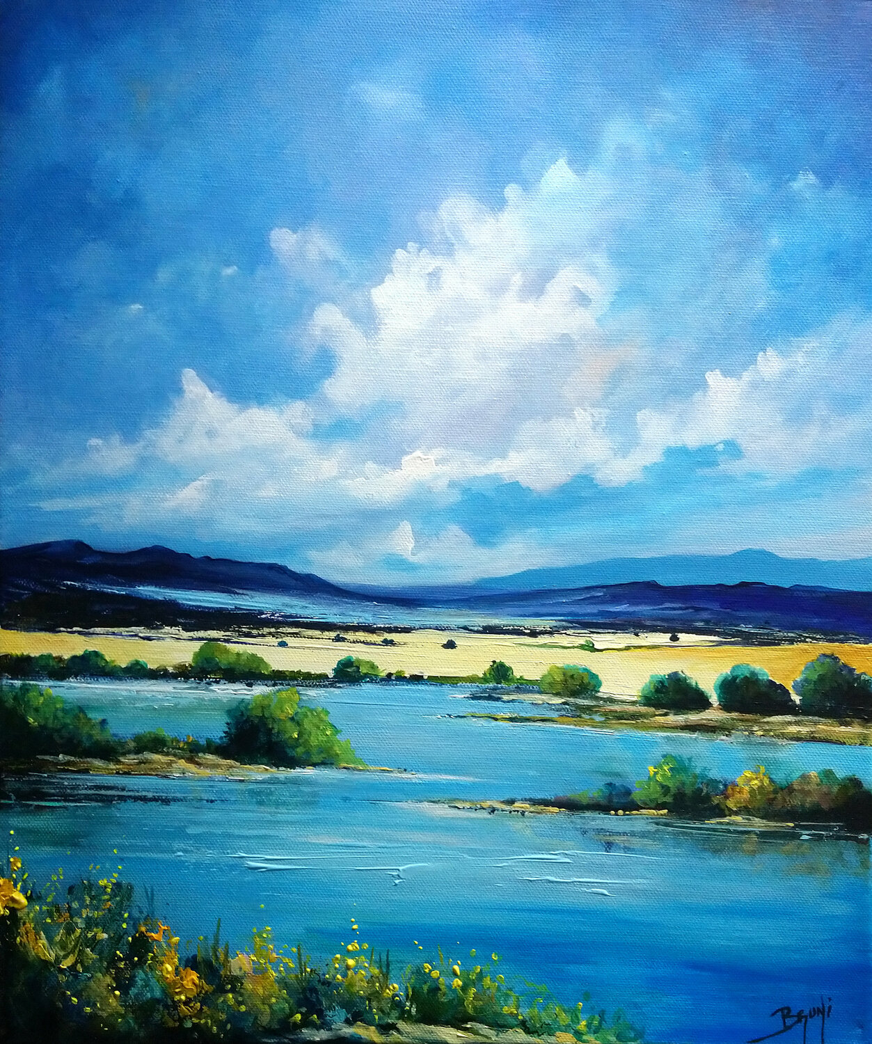 Contrée sauvage Eric Bruni