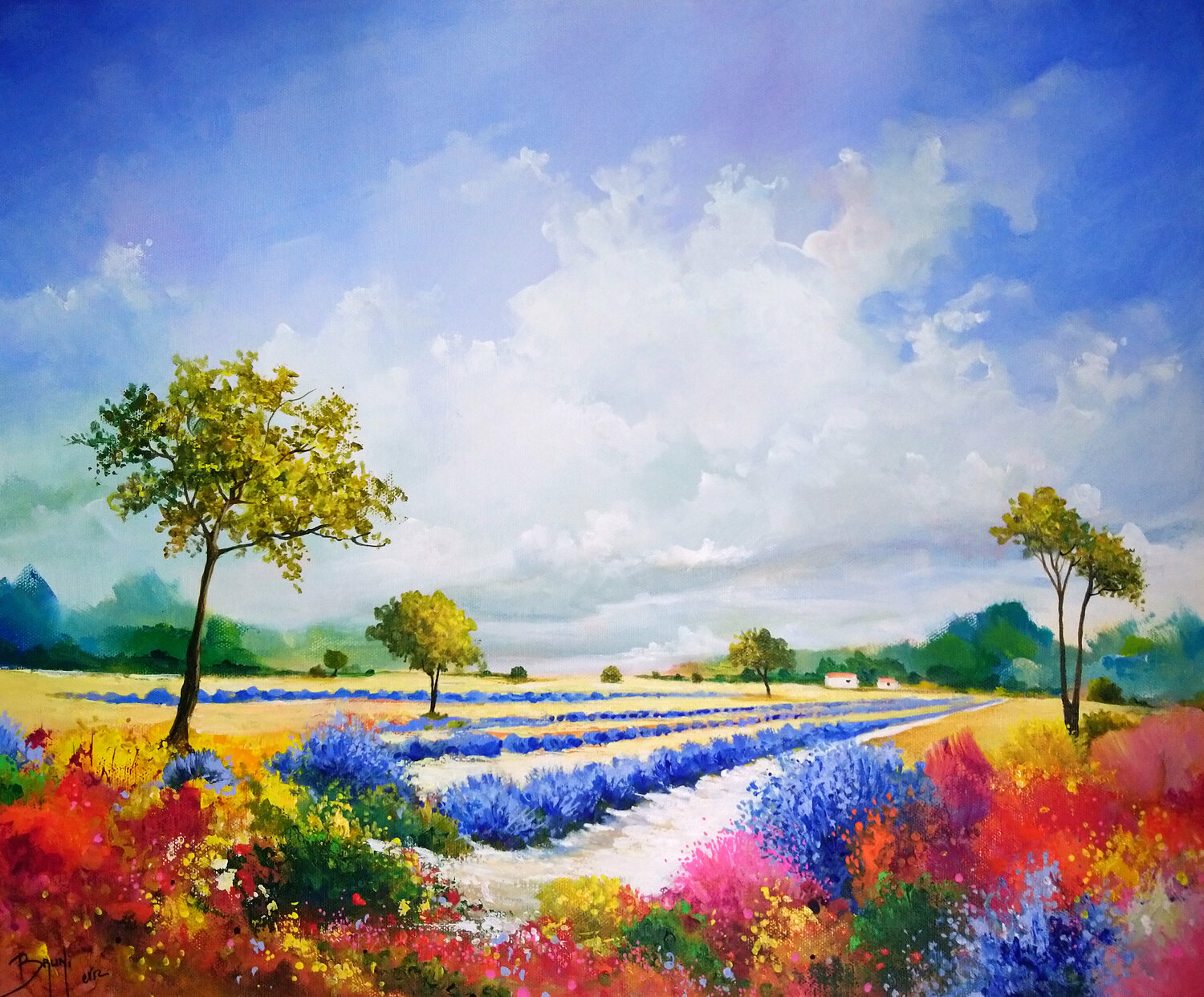 Lavandes et buissons colorés Eric Bruni