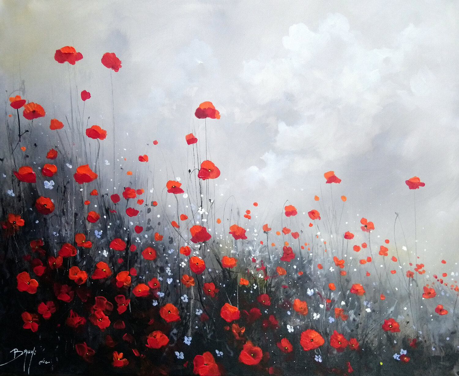 Charming poppies Eric Bruni