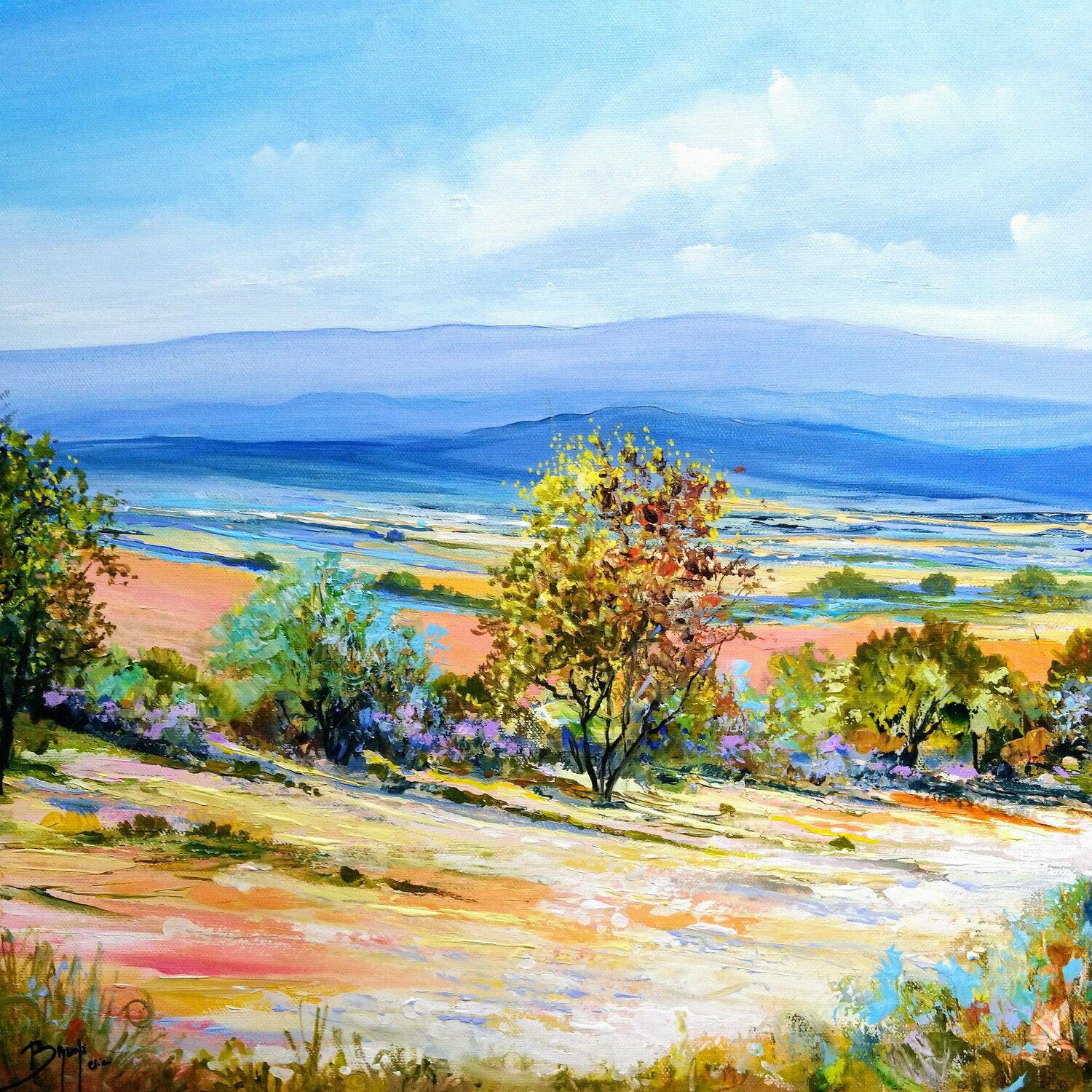 Vue sur la plaine Eric Bruni