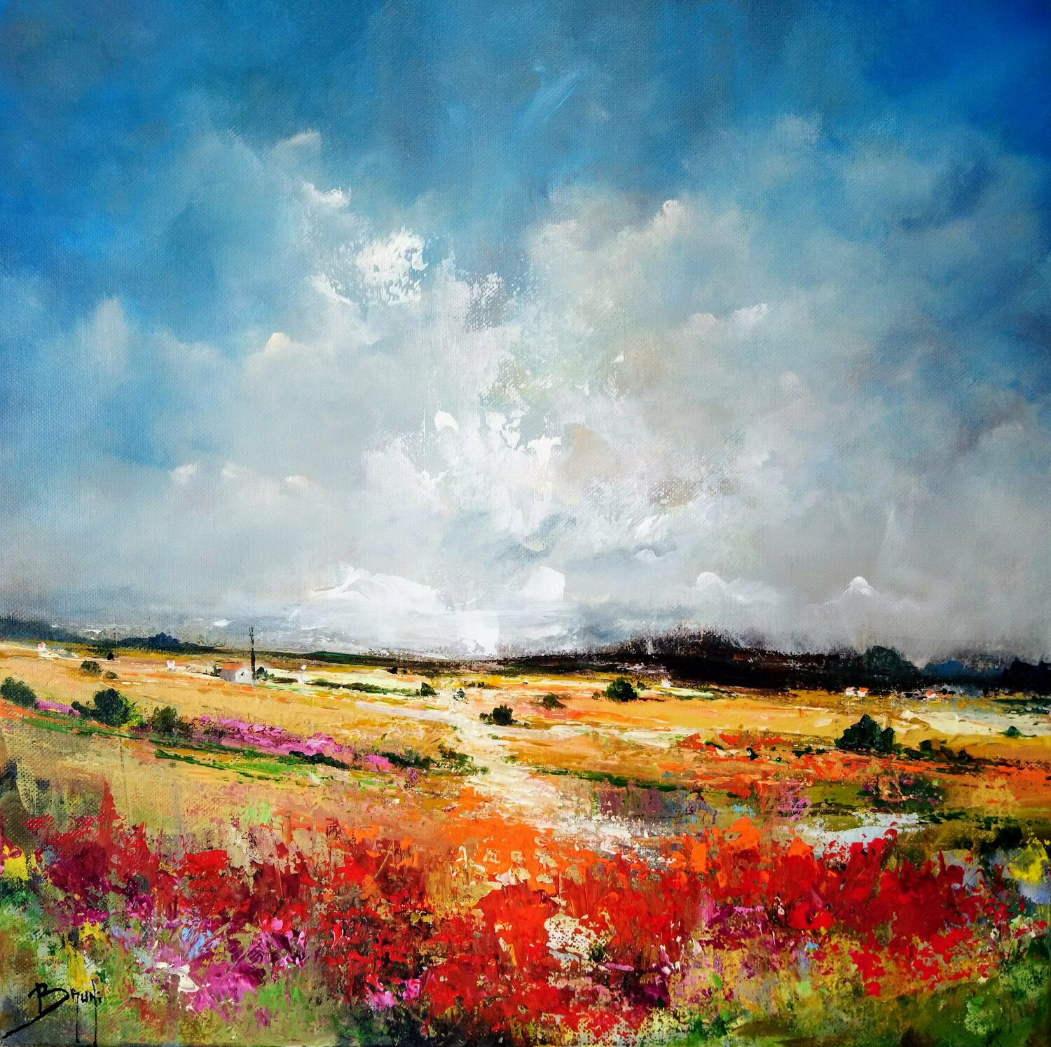 Plaine fleurie Eric Bruni