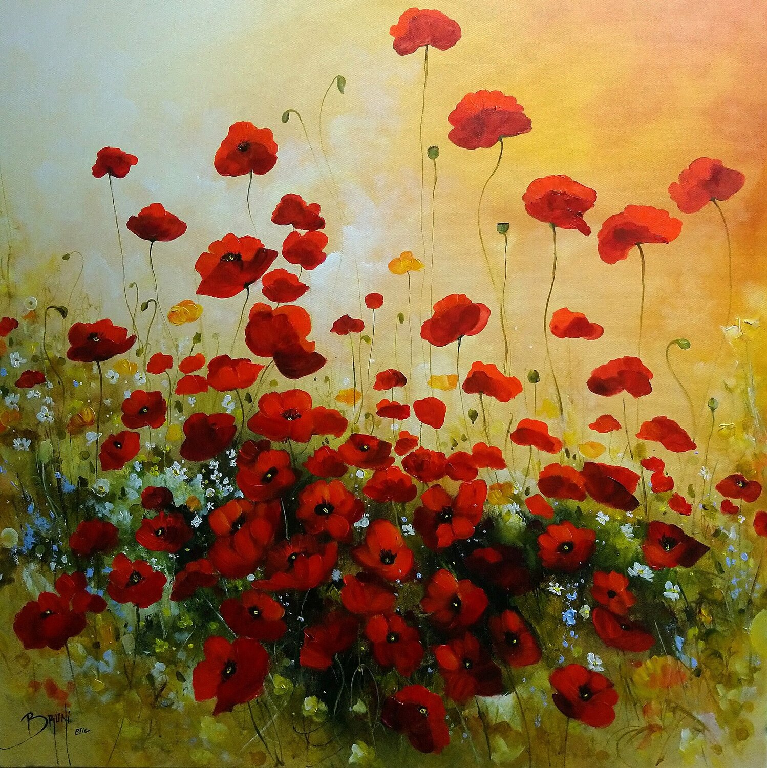 Tendresse des coquelicots Eric Bruni
