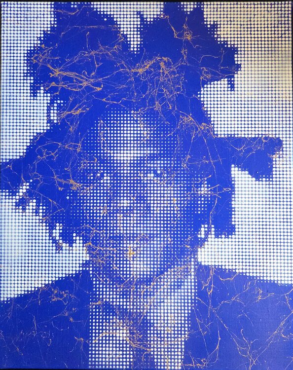 Basquiat Gold & Blue Wawapod