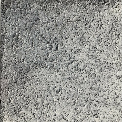 Lunare STEFANIA GAGLIARDI