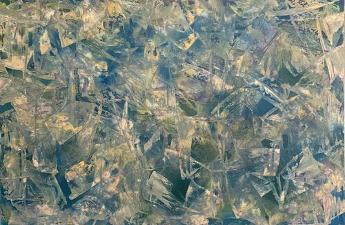 Le felci STEFANIA GAGLIARDI