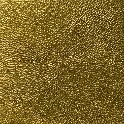 I solchi dorati STEFANIA GAGLIARDI