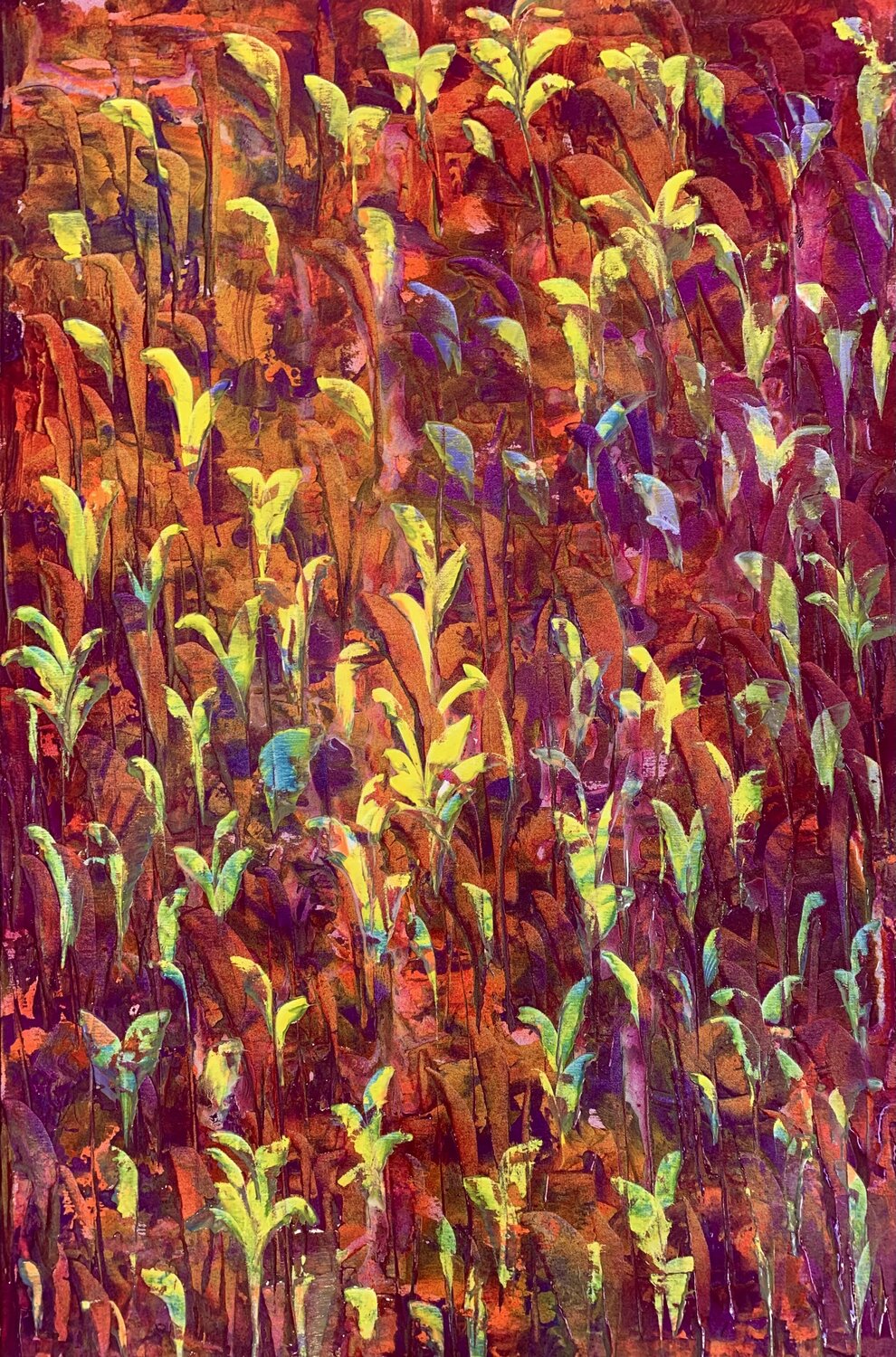 Le palme STEFANIA GAGLIARDI