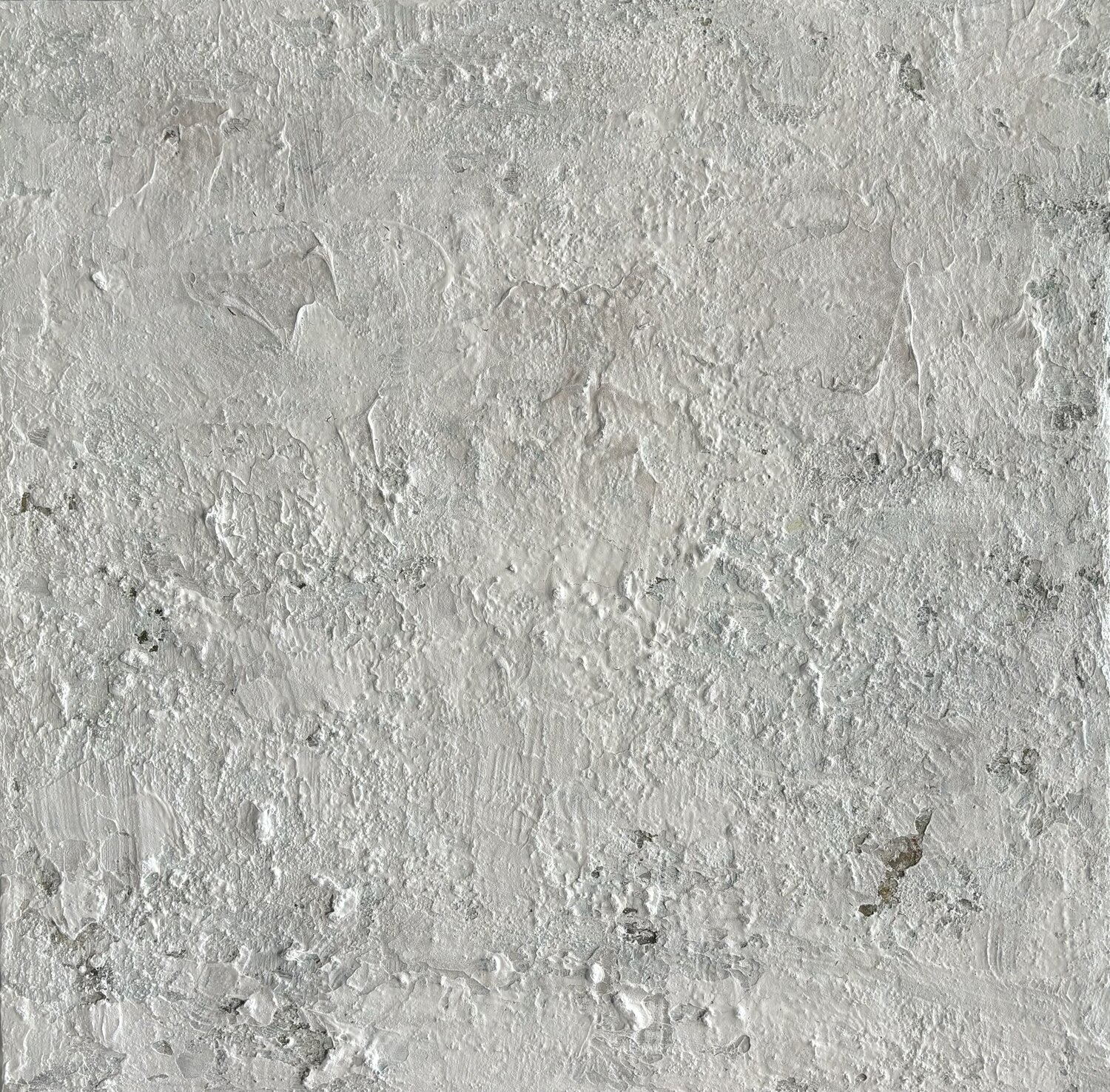 The wall STEFANIA GAGLIARDI