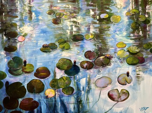 Water Lilies At Sunset 5 Sandra Gebhardt-Höpfner
