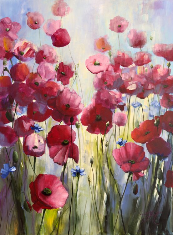 Poppies Land 11 Sandra Gebhardt-Höpfner
