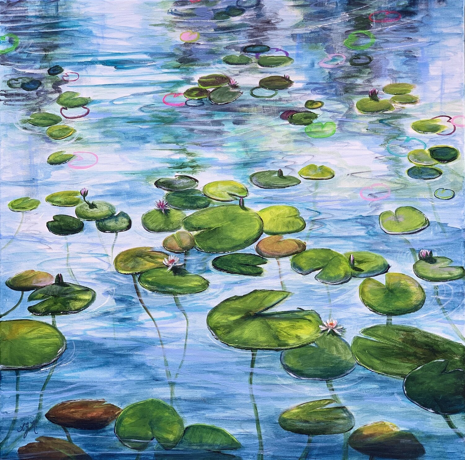 Water Lilies 4 Sandra Gebhardt-Höpfner