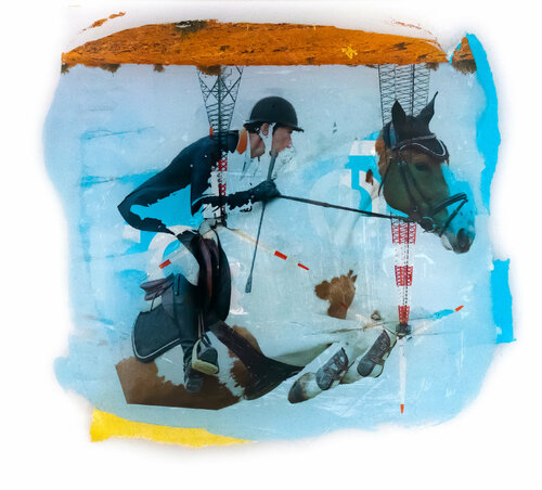 Hippo Bordello 2 by Nental, Other Media for Sale on Singulart