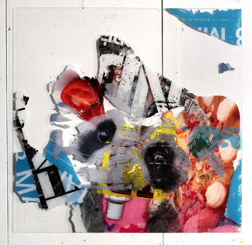 Lémuriforme von Nental, Malerei kaufen auf Singulart