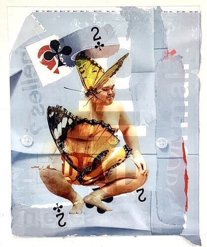 SUMO Papillon van Nental, Schilderij te koop op Singulart