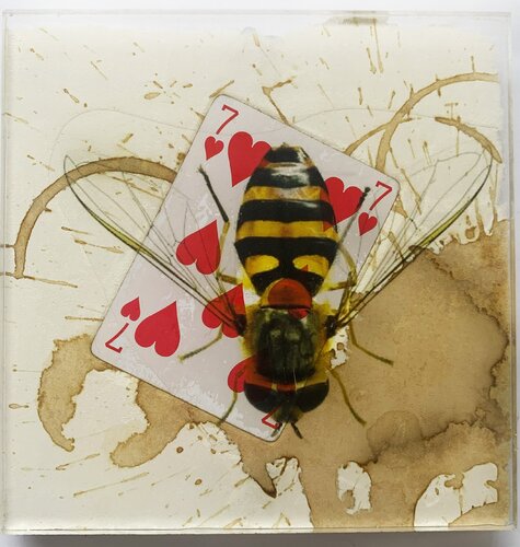 SPIRITO 7 COEUR SYLPHRE van Nental, Schilderij te koop op Singulart