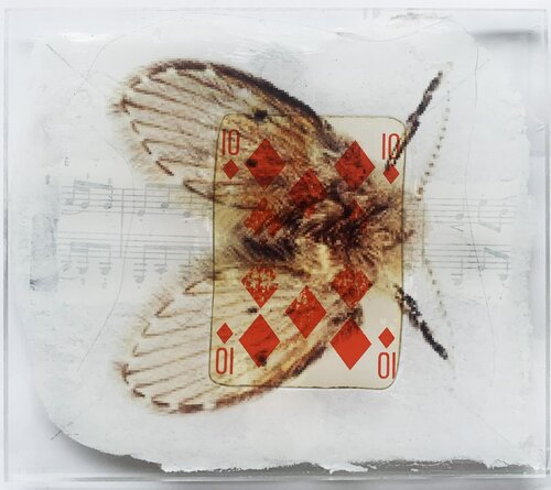 SPIRITO 10 CARREAU PAPILLON van Nental, Schilderij te koop op Singulart