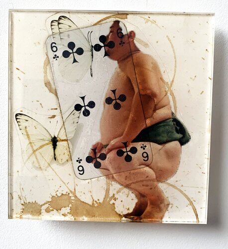 SPIRITO 6 TREFLE 2 PAPILLONS Nental