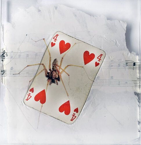 SPIRITO 4 COEUR ARAIGNEE von Nental, Malerei kaufen auf Singulart