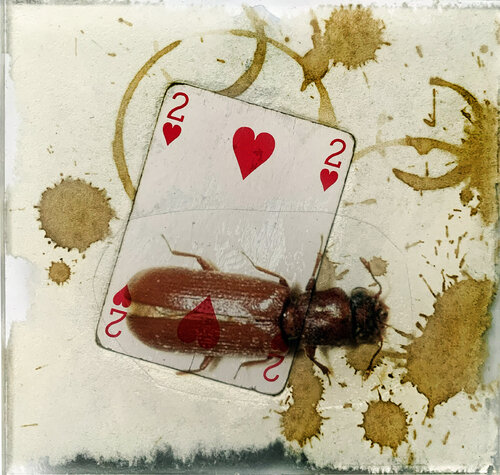 SPIRITO 2 COEUR CAFARD van Nental, Schilderij te koop op Singulart
