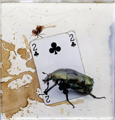 SPIRITO 2 TREFLE MOUSTIC COLEOPTERE von Nental, Malerei kaufen auf Singulart