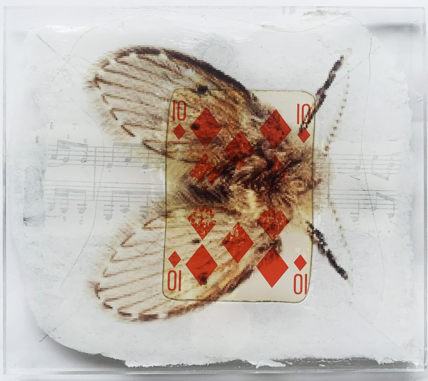 SPIRITO 10 CARREAU PAPILLON Nental