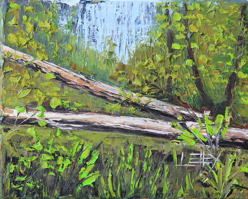 California Redwoods van Lisa Elley, Schilderij te koop op Singulart