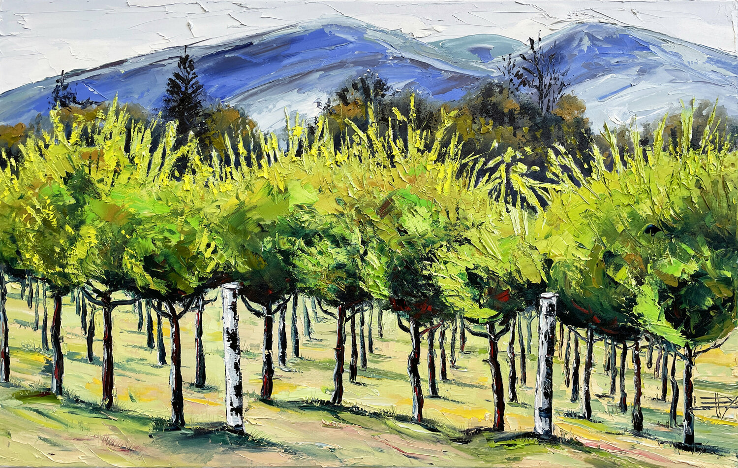 Spring Vineyard Bliss Lisa Elley
