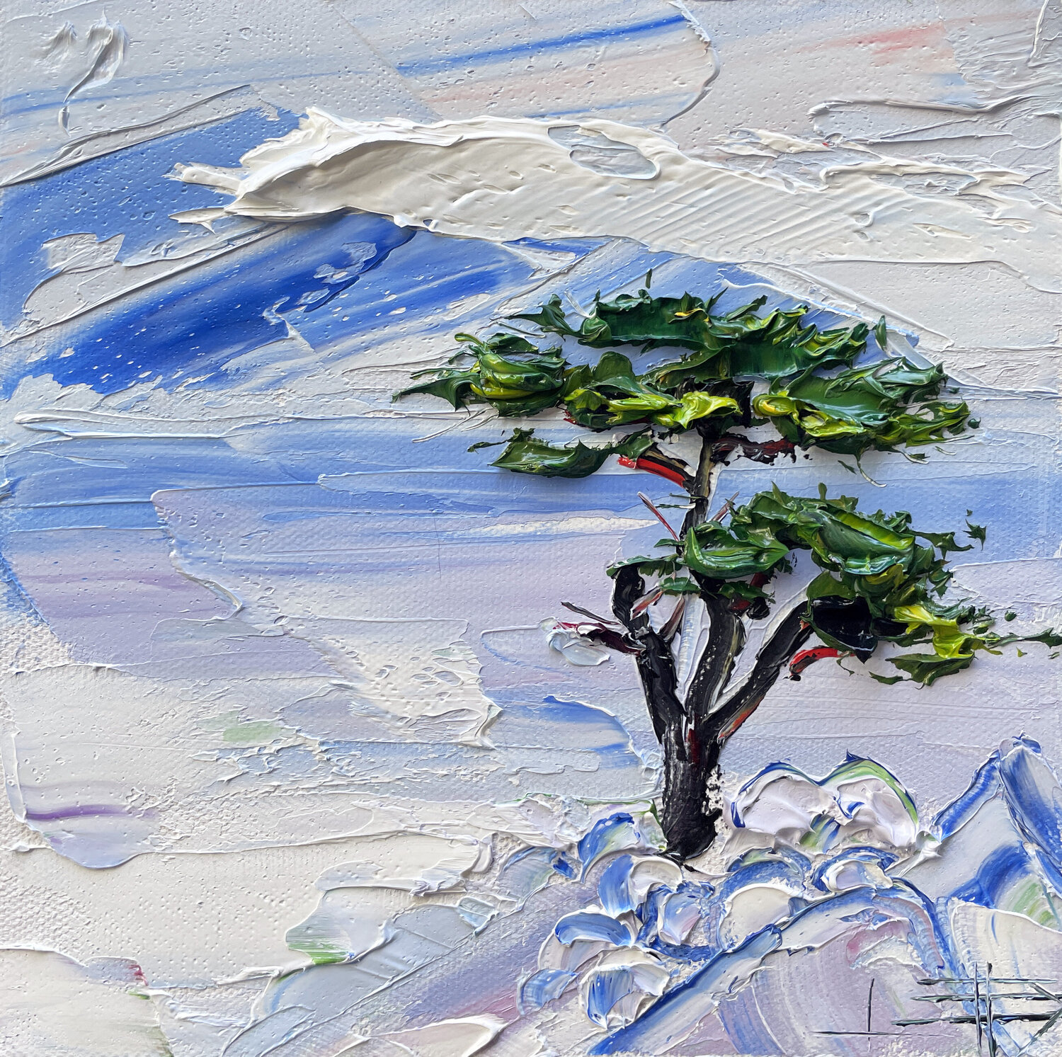 Lone Cypress Lisa Elley