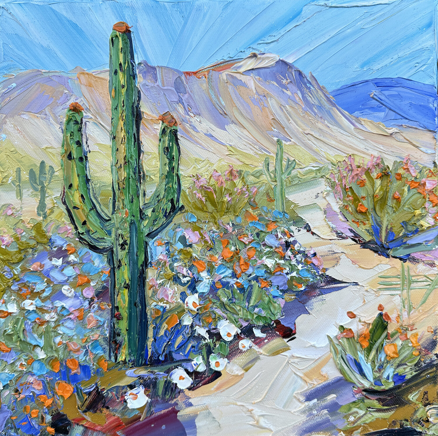 Tranquil Mojave Lisa Elley