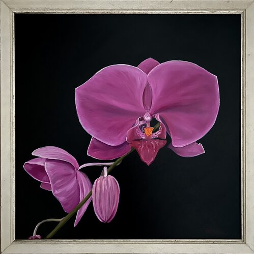 Orchid (Original) von Weatherly Stroh, Malerei kaufen auf Singulart