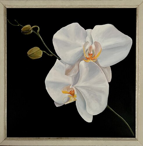 Orchid #2 (Original) von Weatherly Stroh, Malerei kaufen auf Singulart