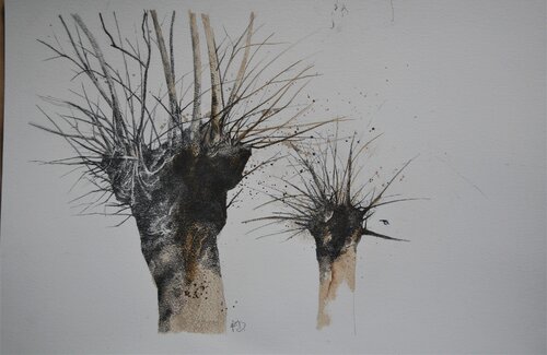 "No name tree n.1" von Fulvio Dot, Zeichnungen kaufen auf Singulart