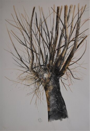 "No name tree n.2" di Fulvio Dot, Disegno in vendita su Singulart