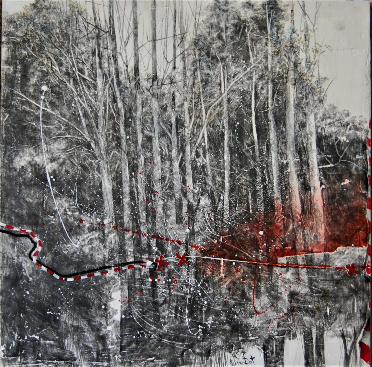 "Storie nel bosco " Fulvio Dot