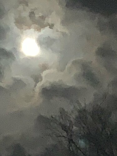 La lune, les arbres et les nuages par Paul Yves POUMAY, Photographie en vente sur Singulart