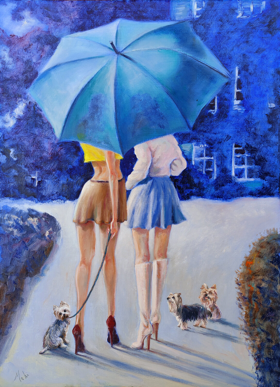 💙 Yorkies Isabel Mahe