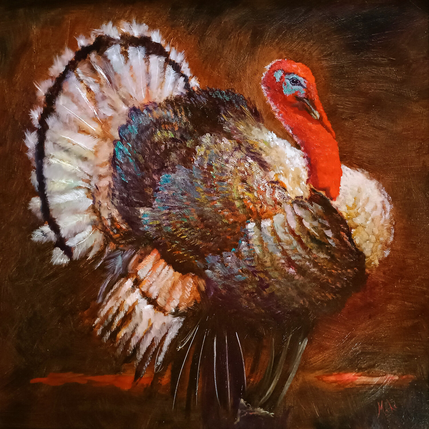 🦃 Dindon 🦃 Turkey 🦃 Truthahn Isabel Mahe