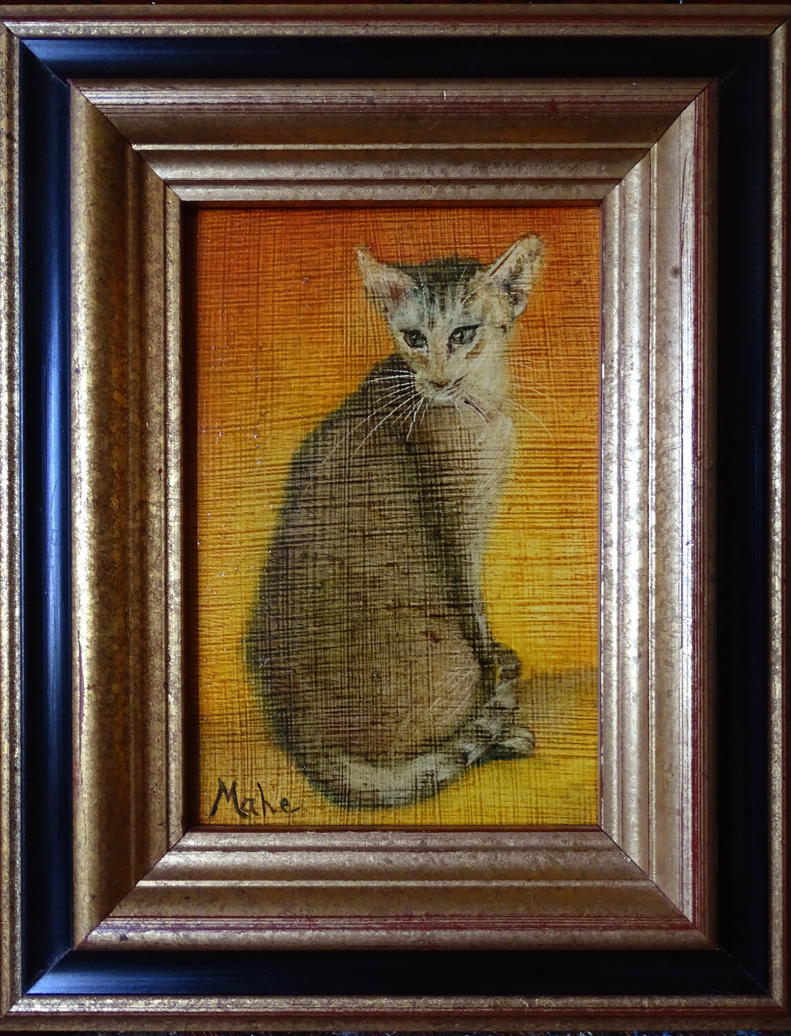 🐱 Petit Chat 🐱 Little Cat 🐱 kleine Katze Isabel Mahe