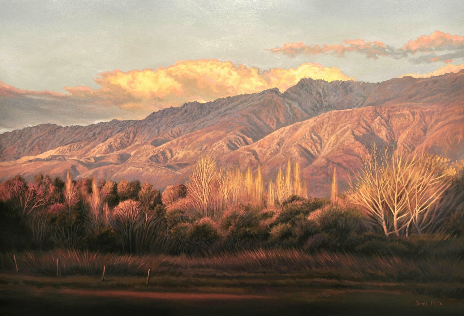 "Valle Mágico" Yamil Picco