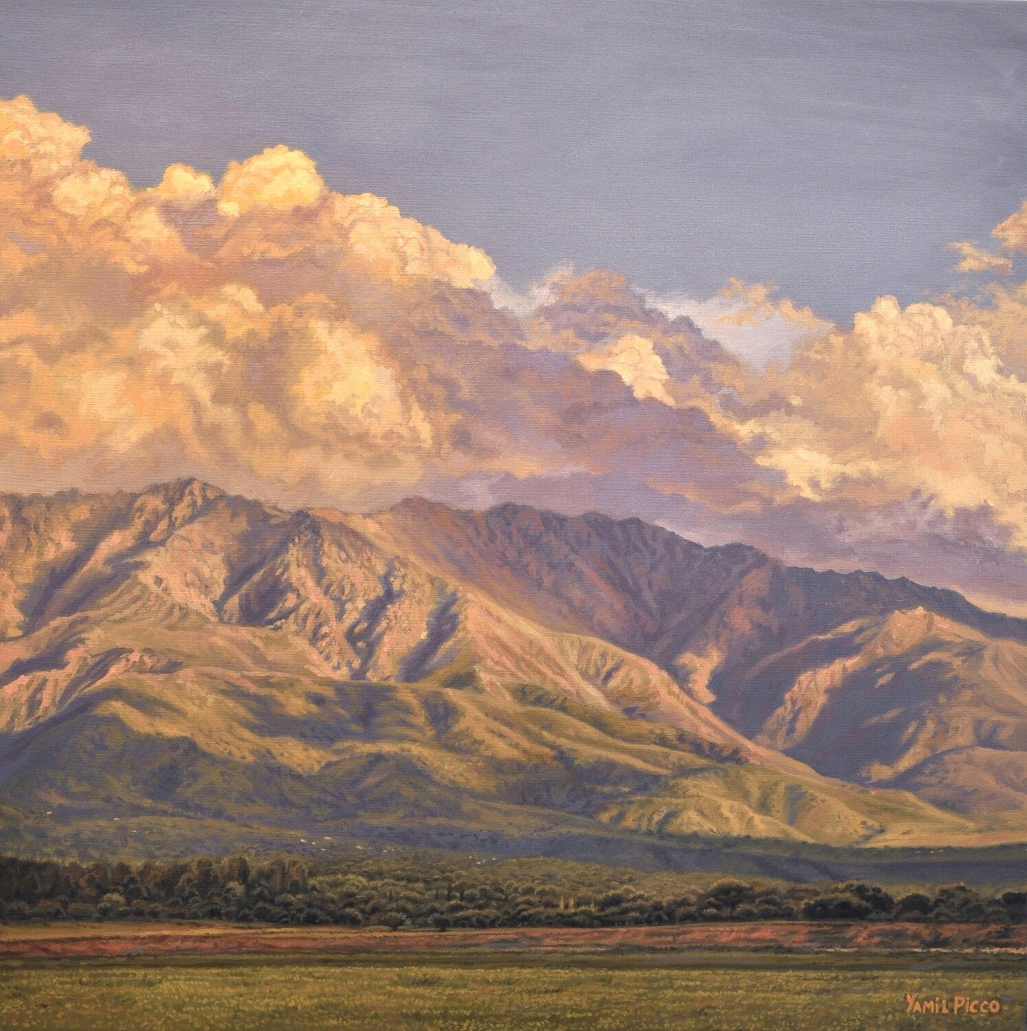 "Mis montañas" Yamil Picco