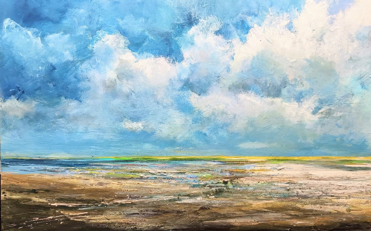 Wadden Sea beach Wim Van De Wege